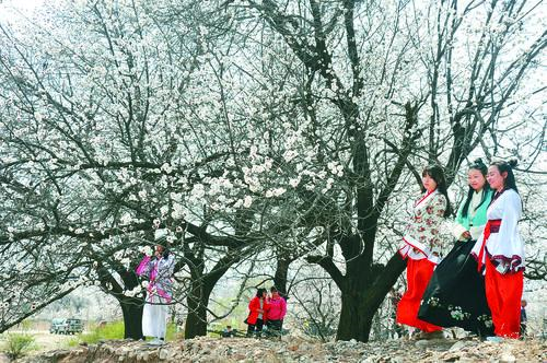 鲸鱼体育直播·全球赛事